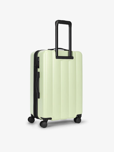 CALPAK medium luggage featuring dual spinner wheels and bottom grab handle in light green daisy