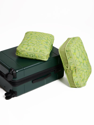 CALPAK Large Compression Packing Cubes in green lime viper; PCL2301-LIME-VIPER view 2